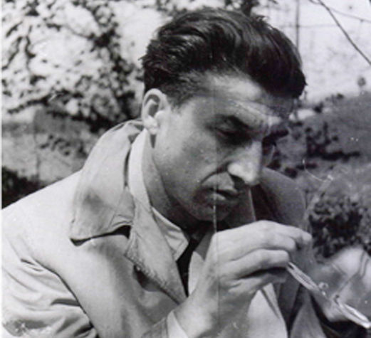 Pavese a setenta&nbsp;años